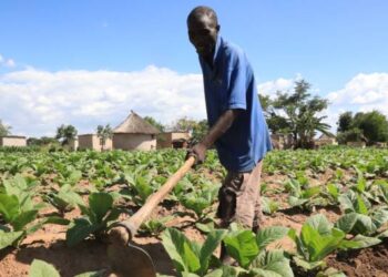 Govt delivers 600 000 jobs