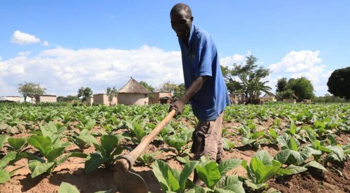 Govt delivers 600 000 jobs