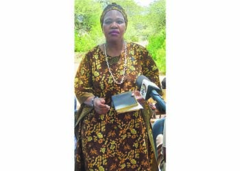 Botswana ambassador urges citizens to work with authorities