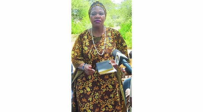 Botswana ambassador urges citizens to work with authorities