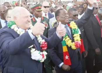 Zim, Belarus cement ties