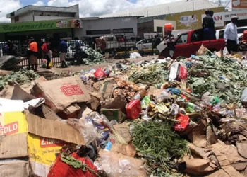 Town Clerks, Mayors face Government wrath