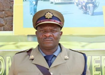 Man axes brother over wheelbarrow