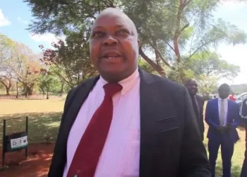 State to respond to Sikhala’s live streaming request