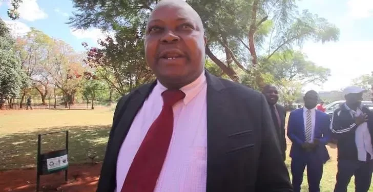 State to respond to Sikhala’s live streaming request