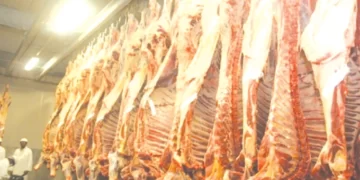 Beef exports to resume in first quarter