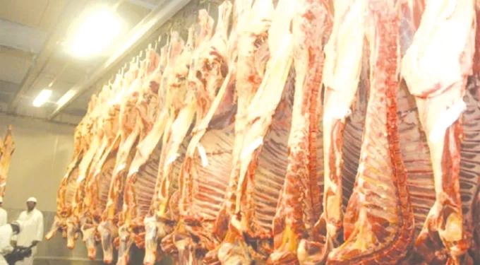 Beef exports to resume in first quarter