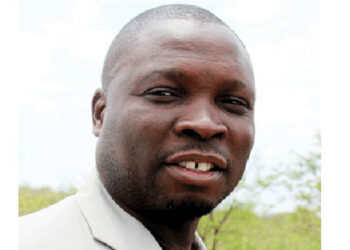 80pc Matabeleland North adults registered voters: Report