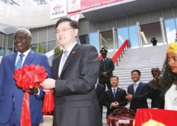 China’s investments help improve Africa’s public healthcare system