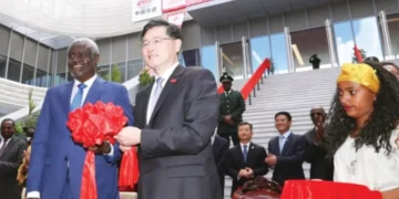 China’s investments help improve Africa’s public healthcare system