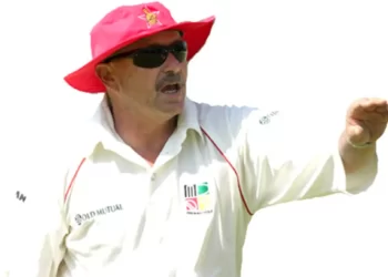 Zim target clean sweep