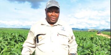 Zim will be a net wheat exporter by 2025