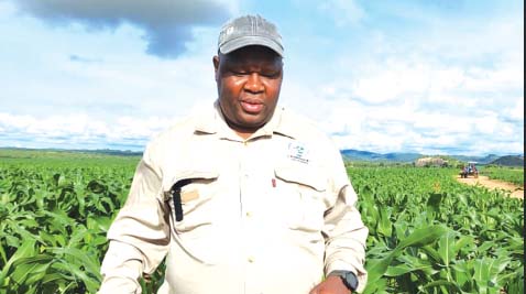 Zim will be a net wheat exporter by 2025