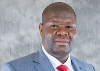 Maize imports decline 71pc