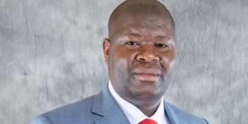 Maize imports decline 71pc