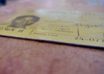 Plastic driver’s licence discs expected soon