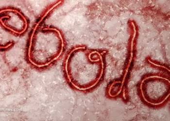 Uganda declares end of Ebola