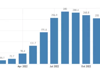 Zim to have surplus in 2023: Fitch