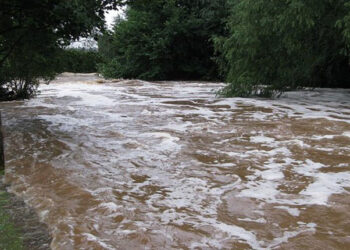 Floods destroy 160ha of crops