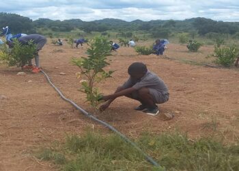 Forestry Commission project to benefit communities