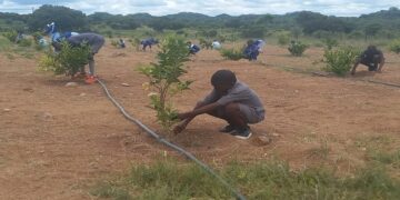 Forestry Commission project to benefit communities