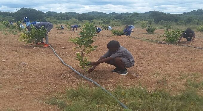 Forestry Commission project to benefit communities