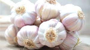 We want to improve rural livelihoods