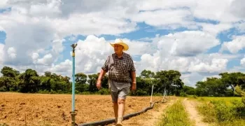 Govt, white farmers head for showdown