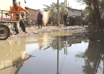 Harare City Council ends year in blame game