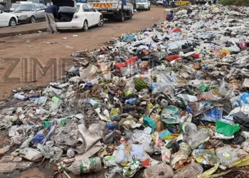 Health crisis looms in Harare as refuse piles up