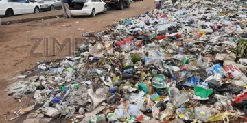 Health crisis looms in Harare as refuse piles up