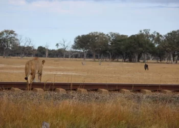 7 reasons Zimbabwe should be on your bucket list