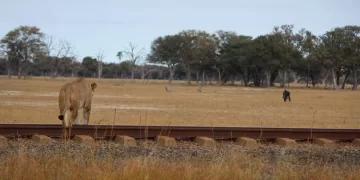 7 reasons Zimbabwe should be on your bucket list