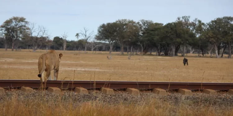 7 reasons Zimbabwe should be on your bucket list