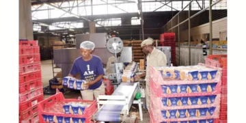 VFEX will drive investment, says Innscor