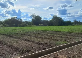 Irrigation schemes for pastures