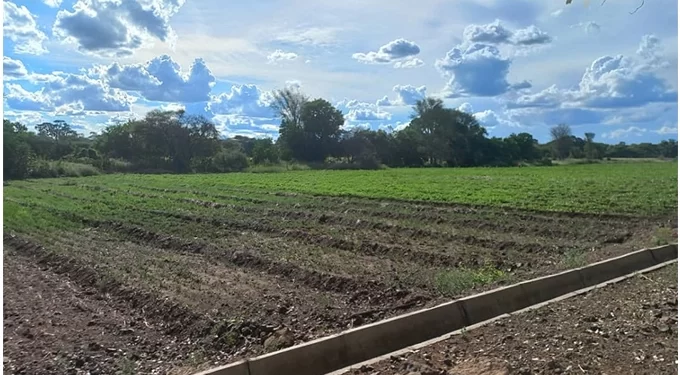 Irrigation schemes for pastures