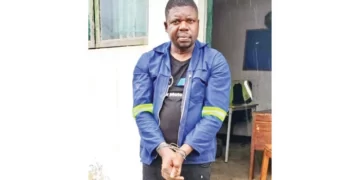 Fugitive killer ex-cop arrested in Mozambique