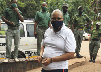 JUST IN: Magistrate dismiss Sikhala’s application for trial live-stream