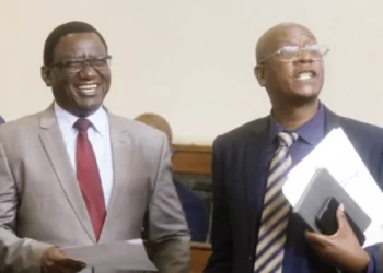 MPs urge ZEC to consider ad hoc committee views