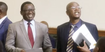 MPs urge ZEC to consider ad hoc committee views