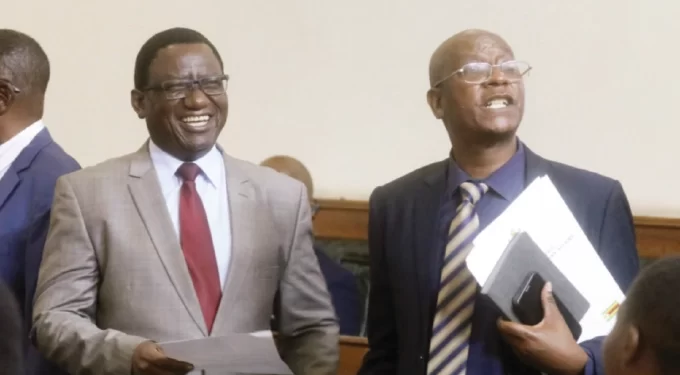 MPs urge ZEC to consider ad hoc committee views