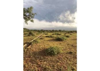 Mangwe irrigation scheme revitalisation starts