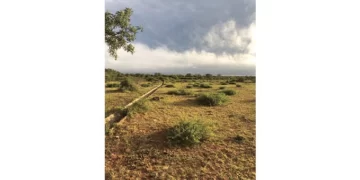 Mangwe irrigation scheme revitalisation starts