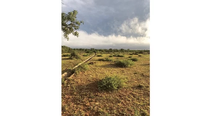 Mangwe irrigation scheme revitalisation starts