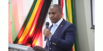 Suspension of Zebra Kiss operator’s licence uplifted