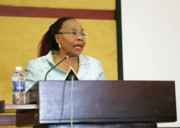 Minister slams Western media onslaught on Zim