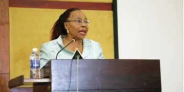 Minister slams Western media onslaught on Zim