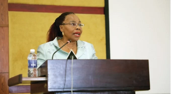 Minister slams Western media onslaught on Zim