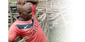 Inside the Fort Rixon cattle carnage: Ward records 262 deaths in single month